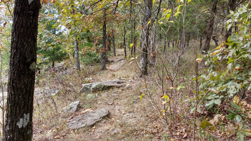 img_20171001_131826819_hdr.jpg