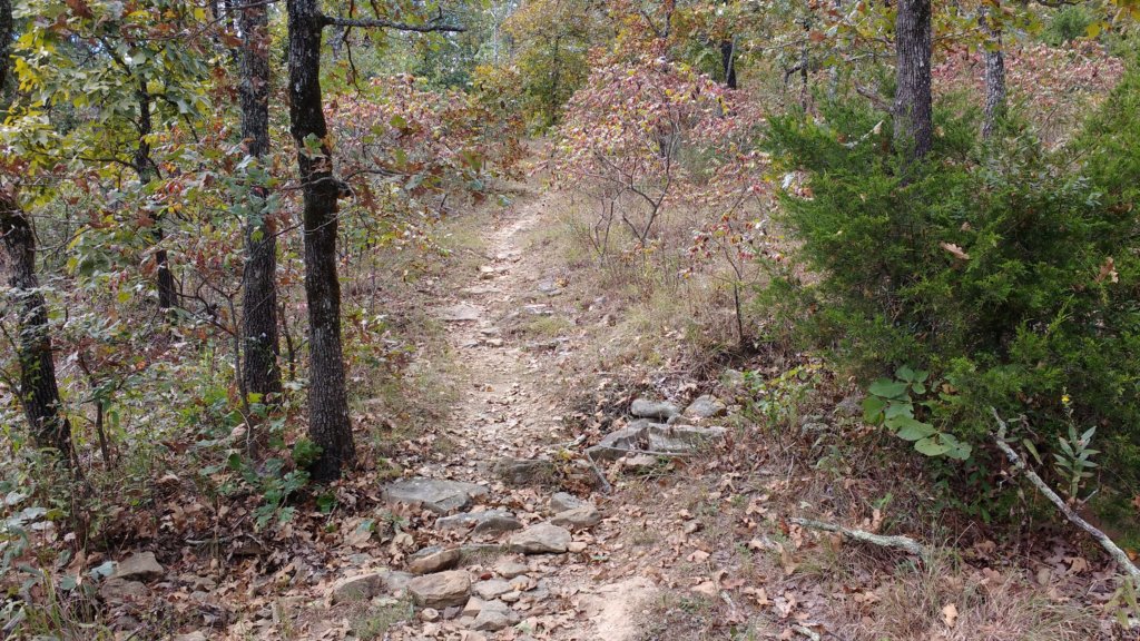 img_20171001_132558091.jpg