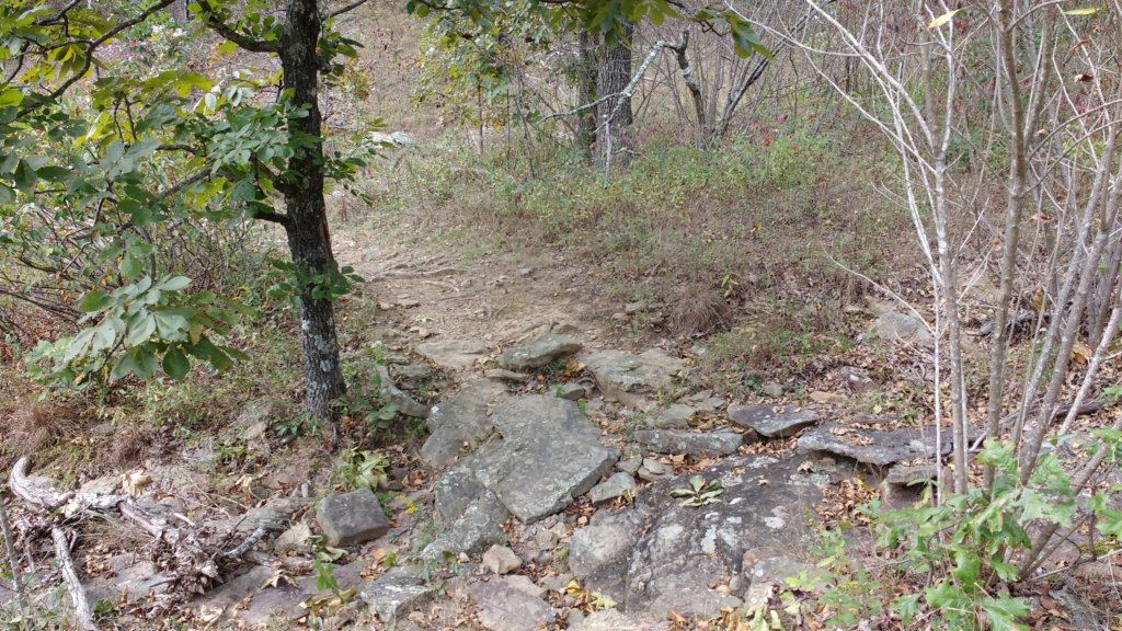 img_20171001_133124863.jpg