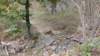 img_20171001_133124863_small.jpg