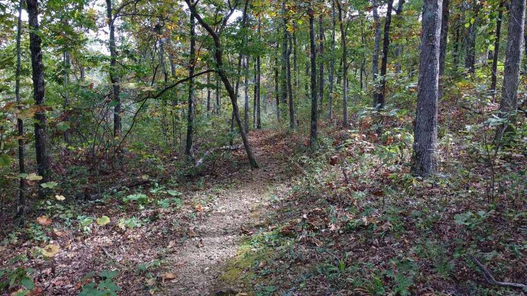 img_20171001_133721182.jpg