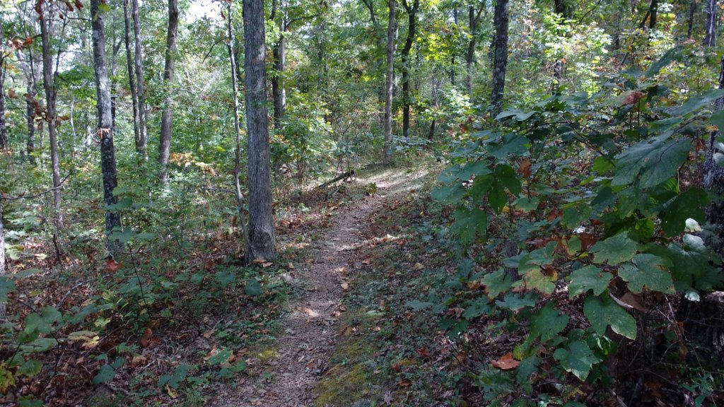 img_20171001_133922745.jpg