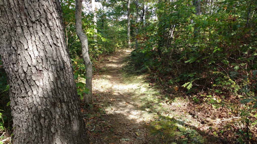 img_20171001_135054712.jpg