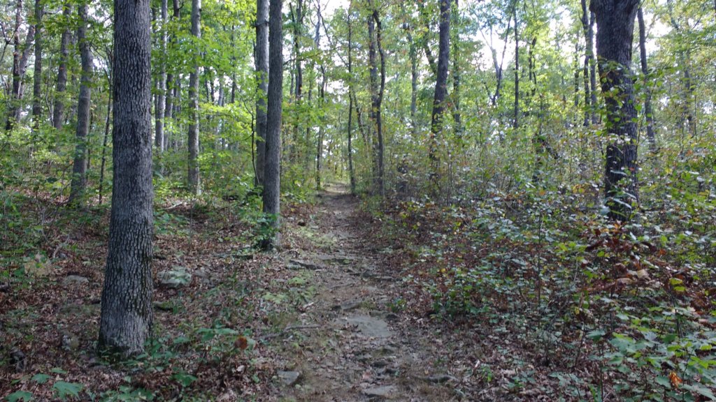 img_20171001_135542567.jpg