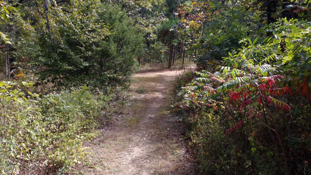 img_20171001_135947819.jpg