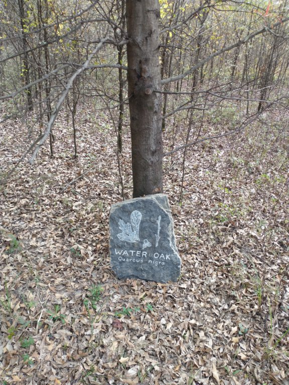 img_20201107_112008750.jpg