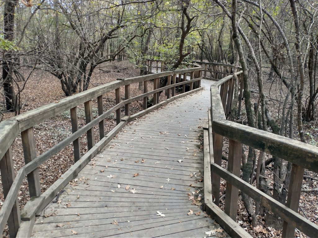 img_20201107_112046661_hdr.jpg