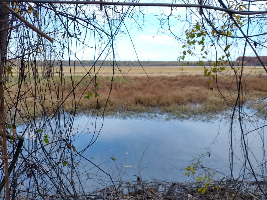 img_20201107_112348162_hdr.jpg