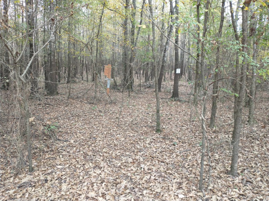 img_20201107_113709726.jpg