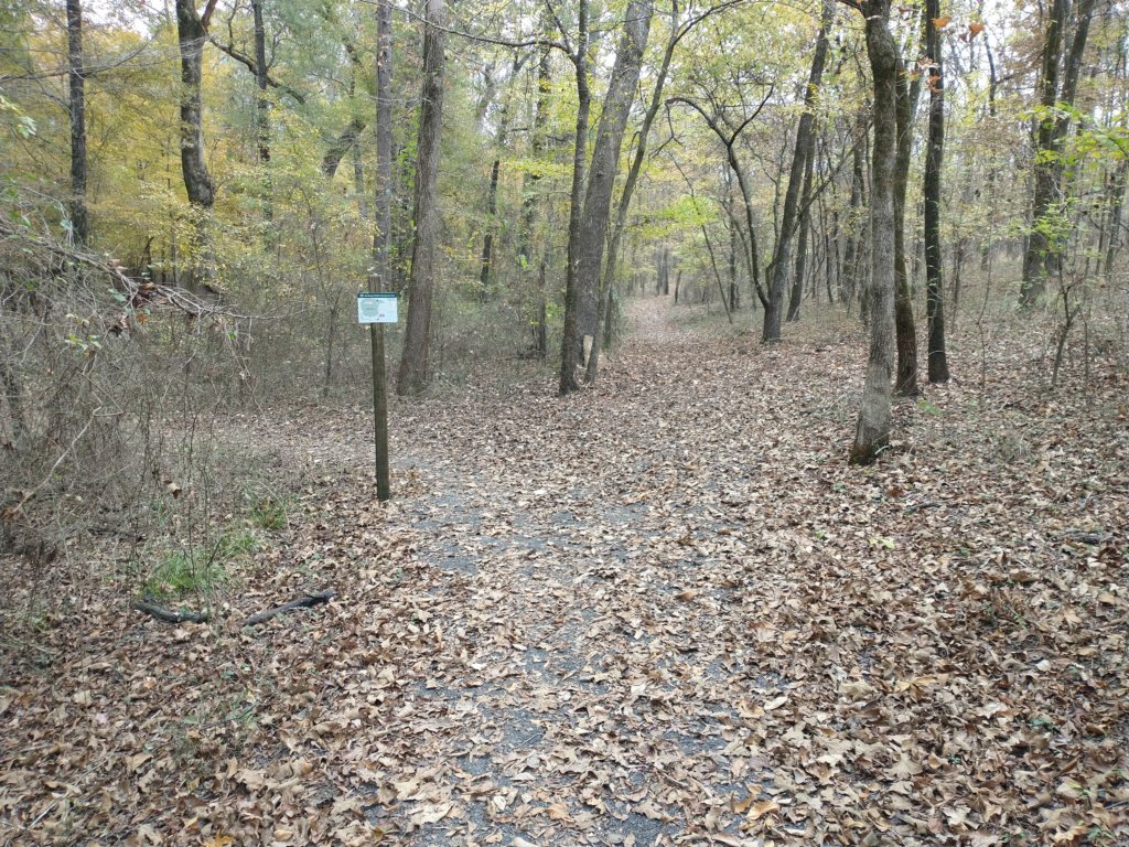 img_20201107_113952357.jpg
