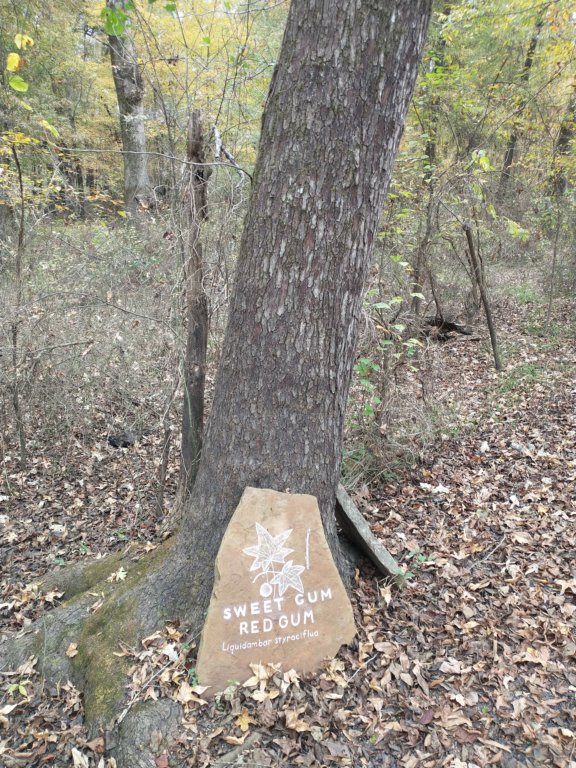 img_20201107_114057142.jpg