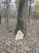 img_20201107_114448610_small.jpg