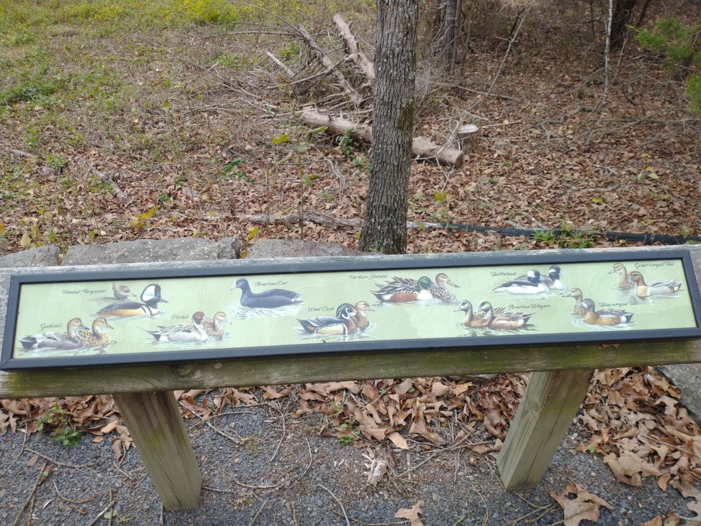img_20201107_114823570.jpg
