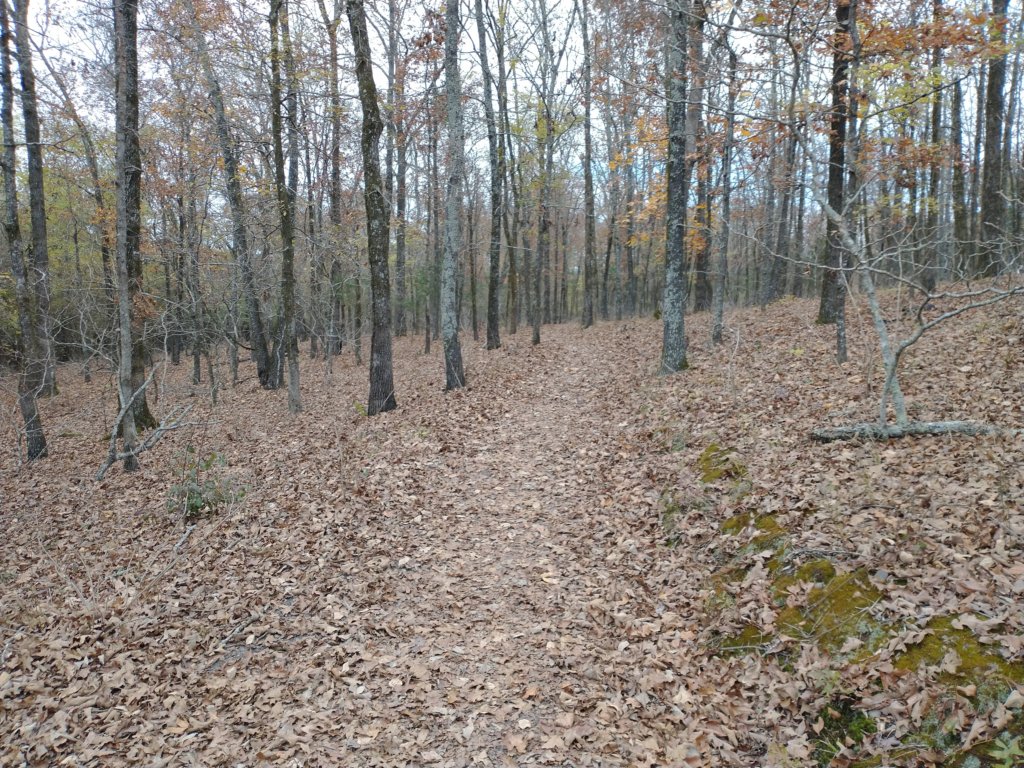 img_20201107_114912925.jpg