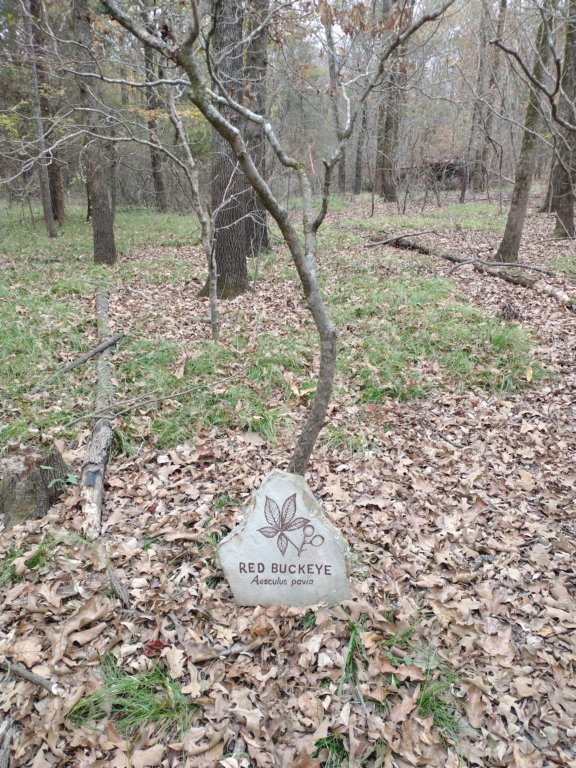 img_20201107_115127860.jpg