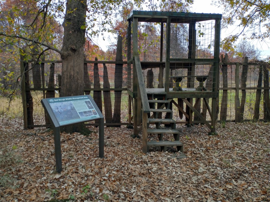 img_20201107_115150416_hdr.jpg