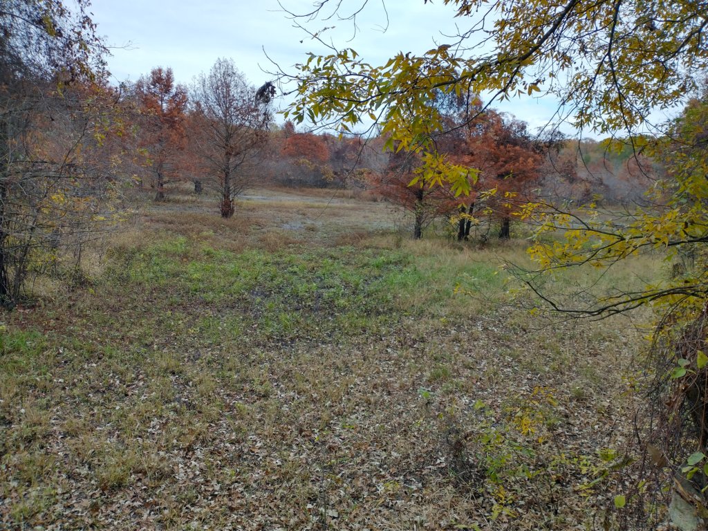 img_20201107_115243589_hdr.jpg