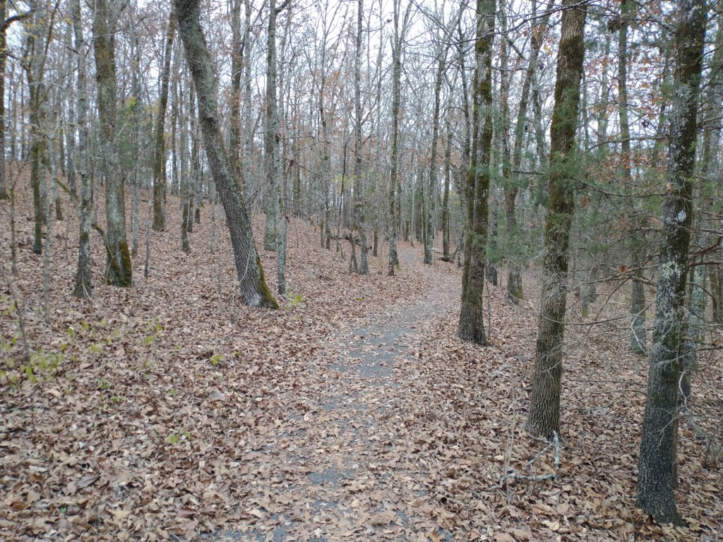 img_20201107_115559586.jpg