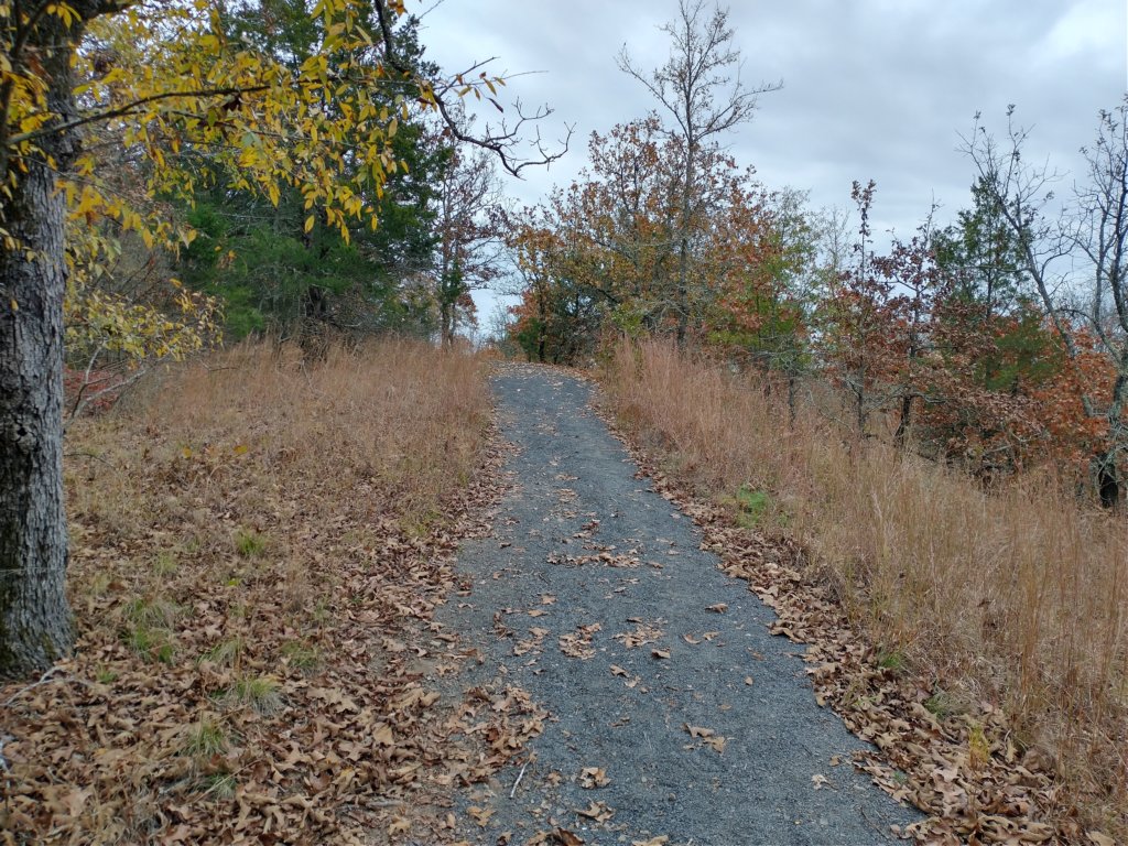img_20201107_115821741_hdr.jpg