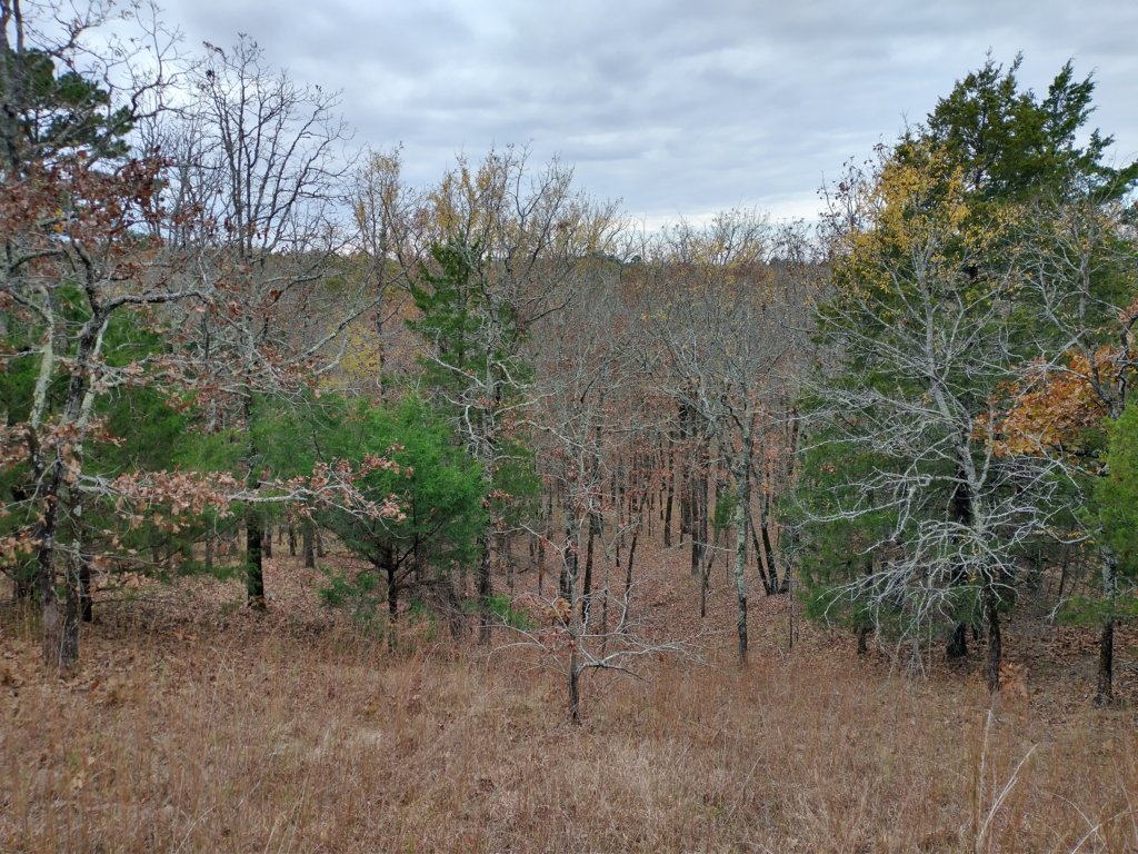 img_20201107_120050542_hdr.jpg