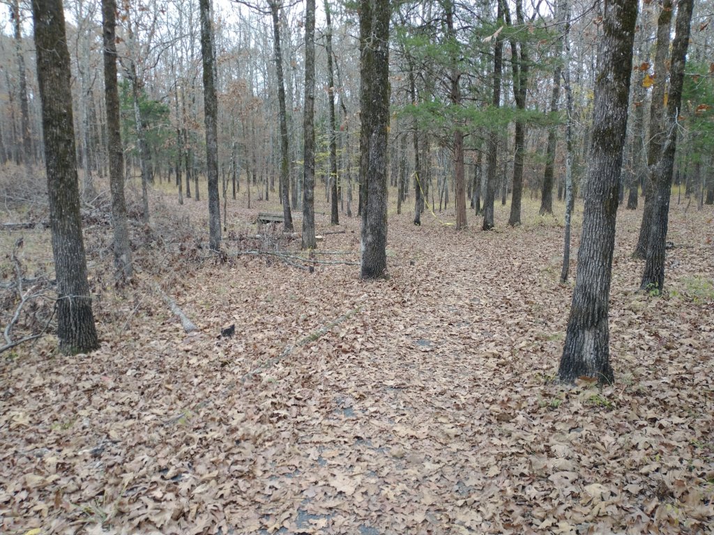 img_20201107_120525685.jpg