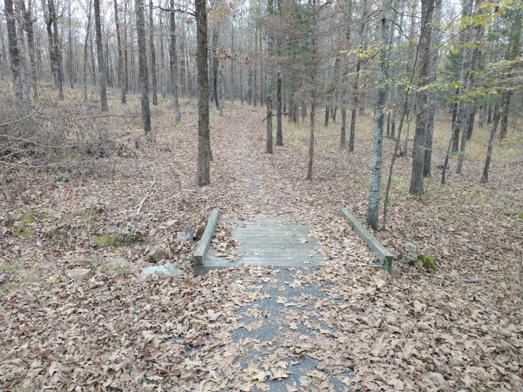 img_20201107_120543821.jpg
