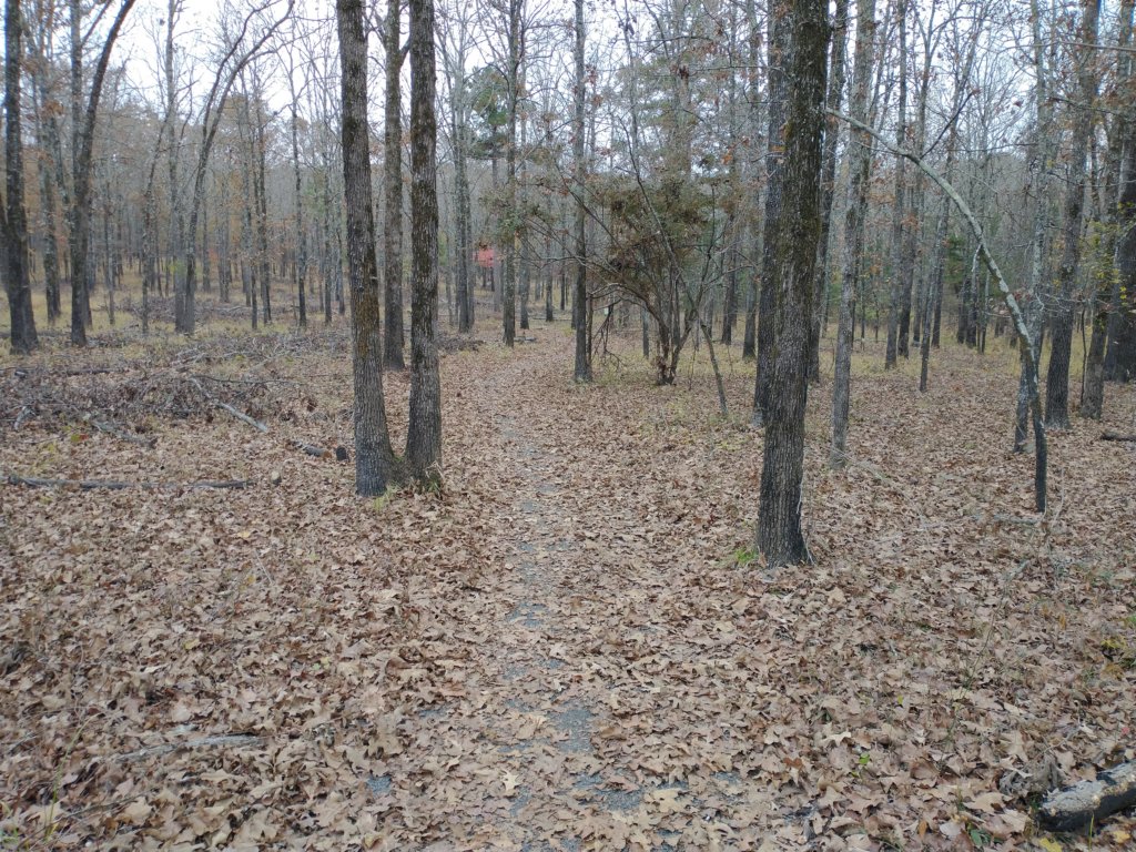 img_20201107_120815985.jpg