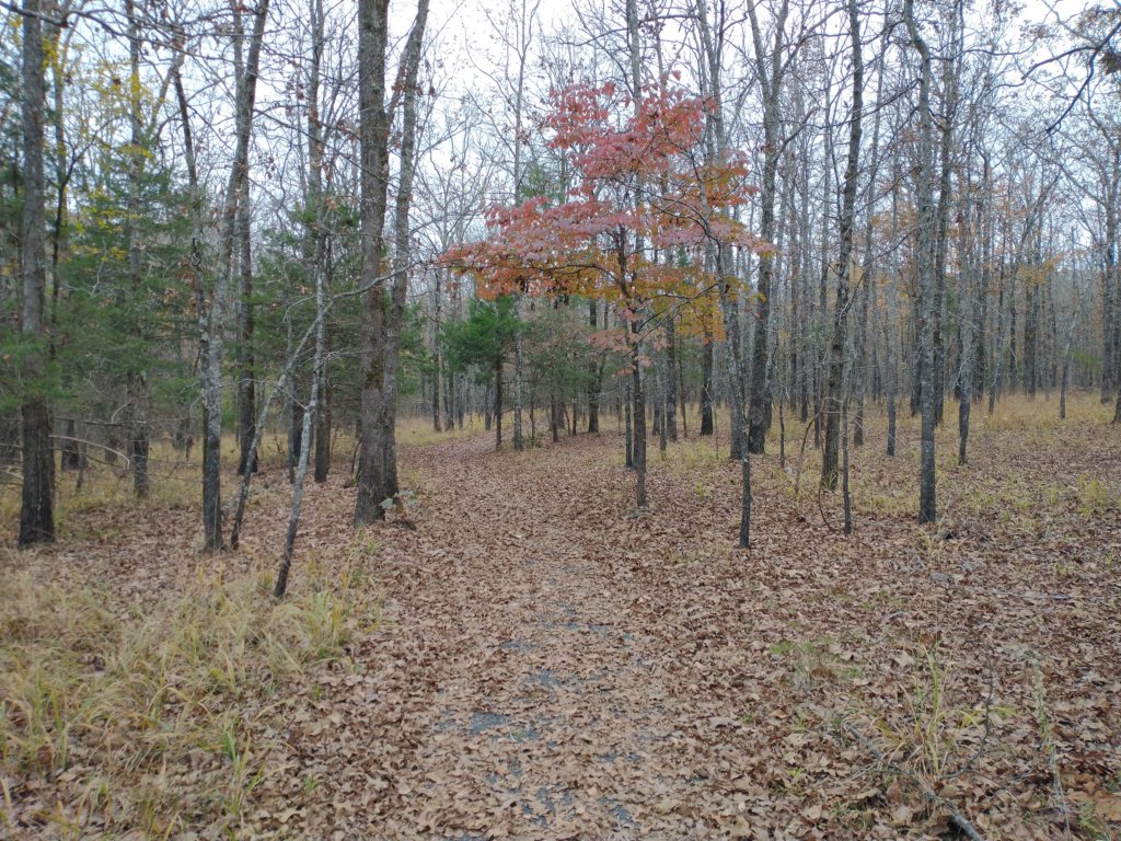 img_20201107_121118313.jpg