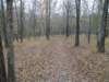 img_20201107_121217786_small.jpg