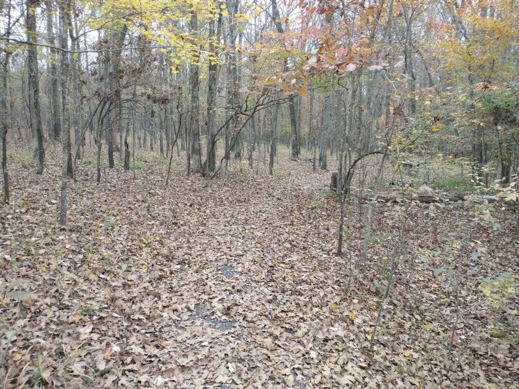 img_20201107_121335114.jpg