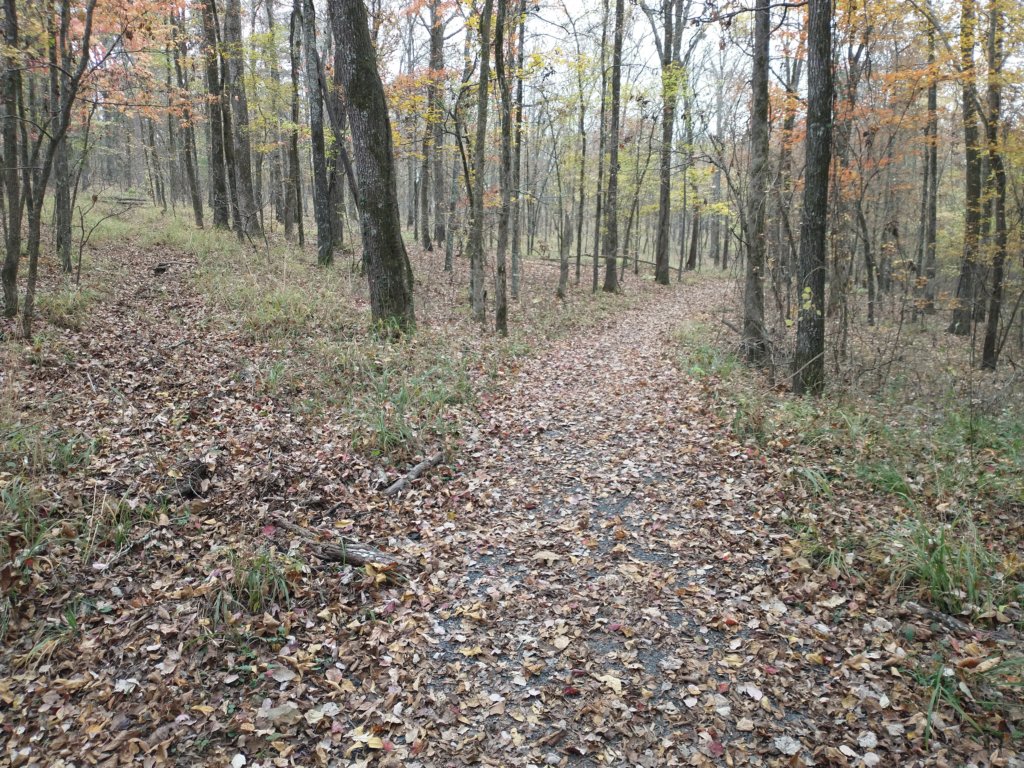 img_20201107_121524259.jpg