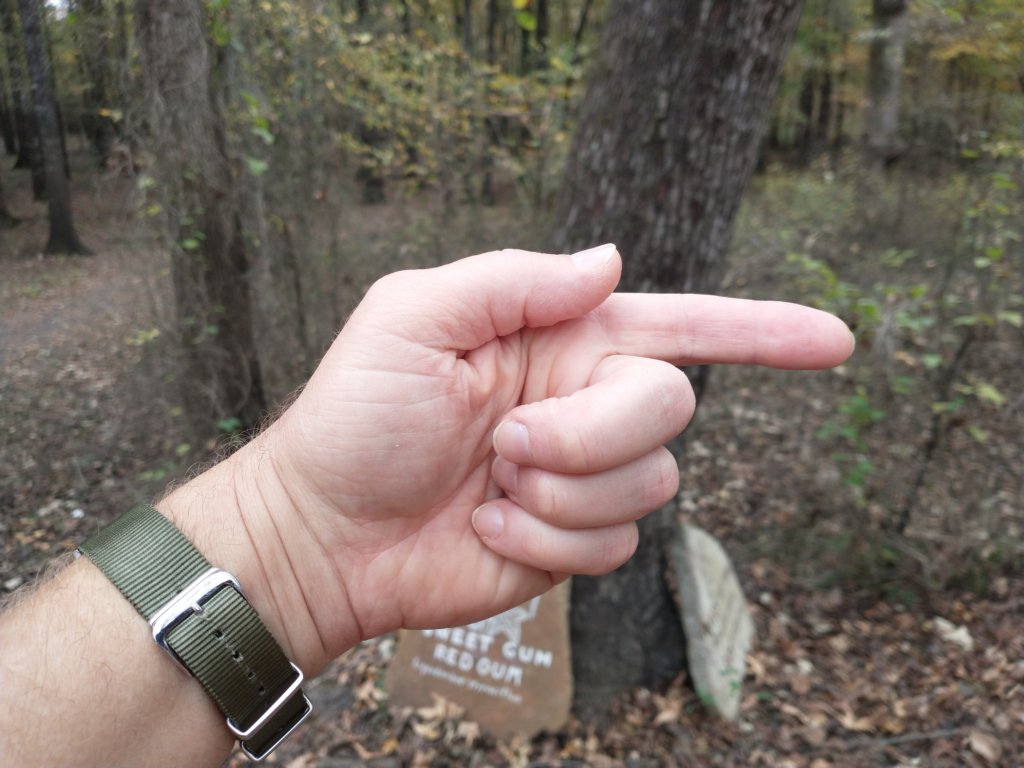 img_20201107_121747676.jpg