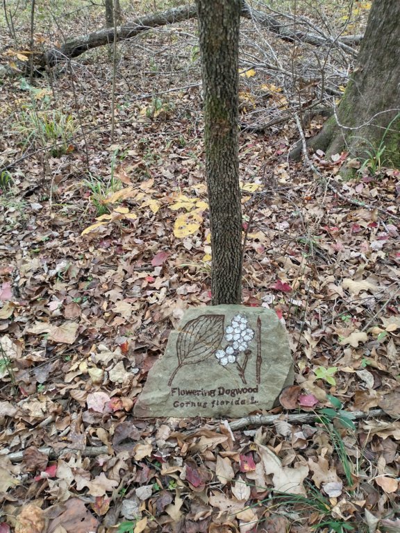 img_20201107_122126847_hdr.jpg