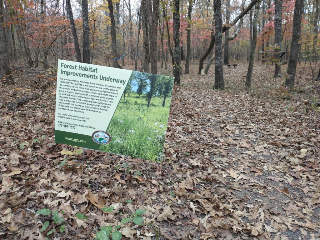 img_20201107_122737448.jpg