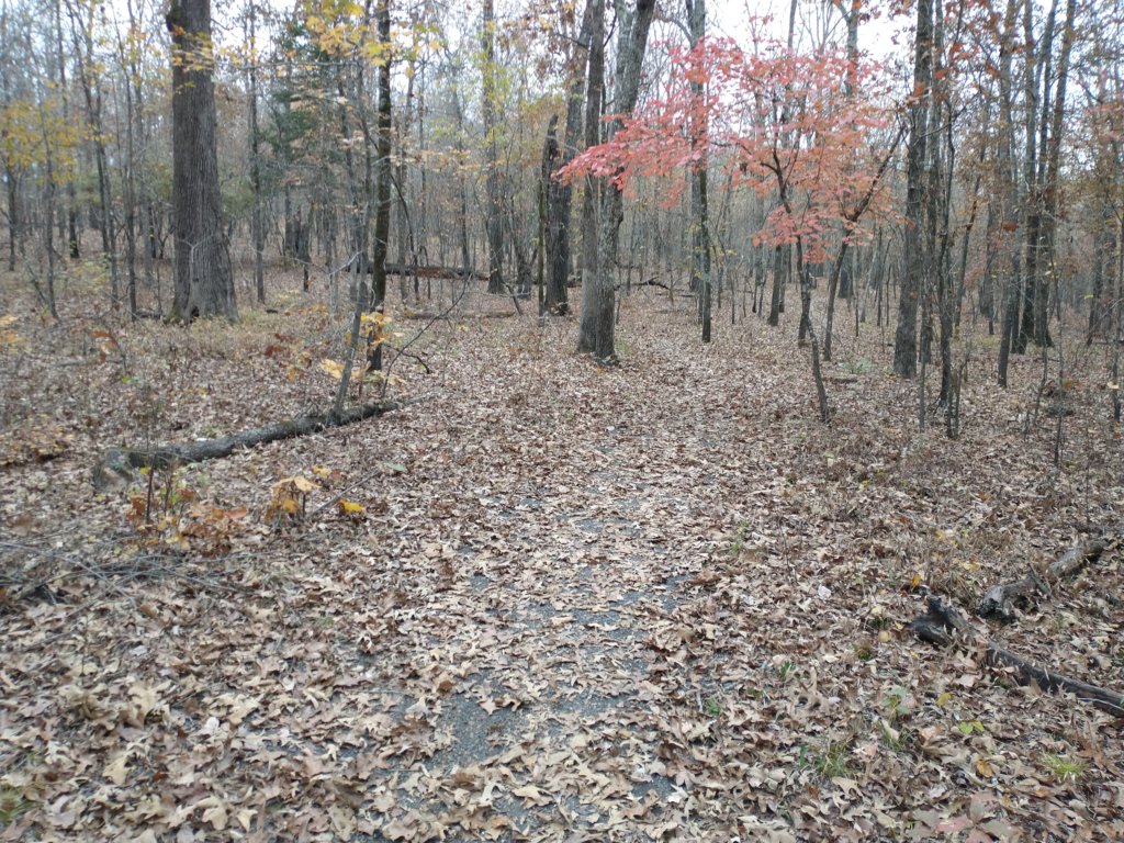 img_20201107_122919825.jpg
