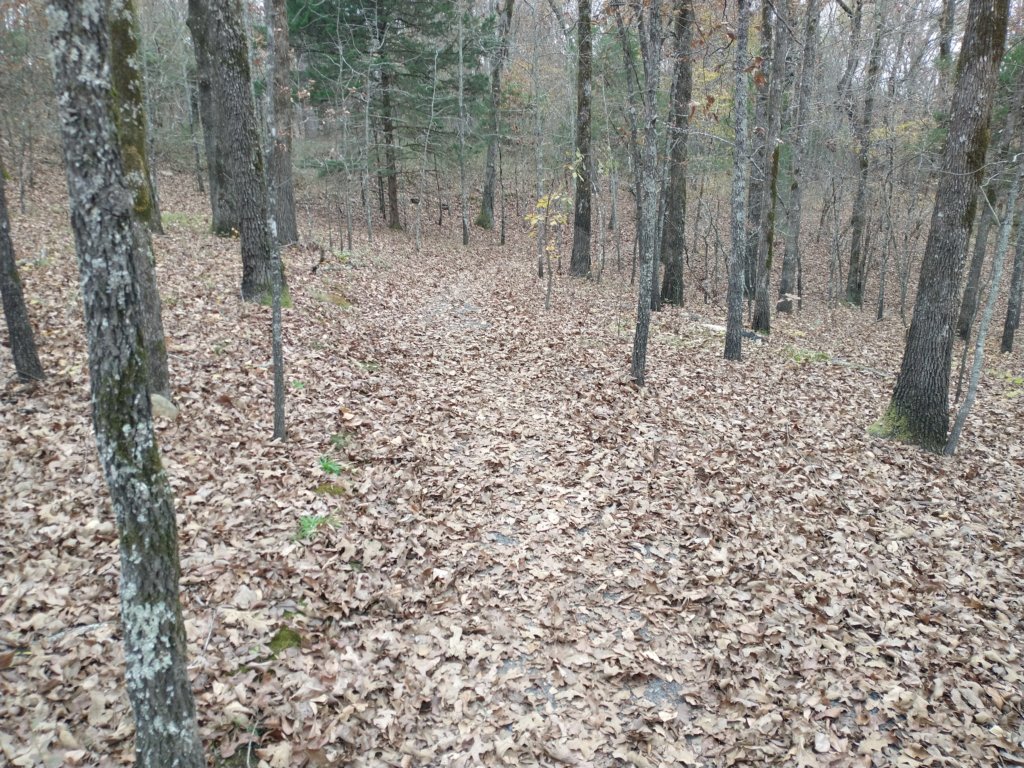 img_20201107_123150396.jpg