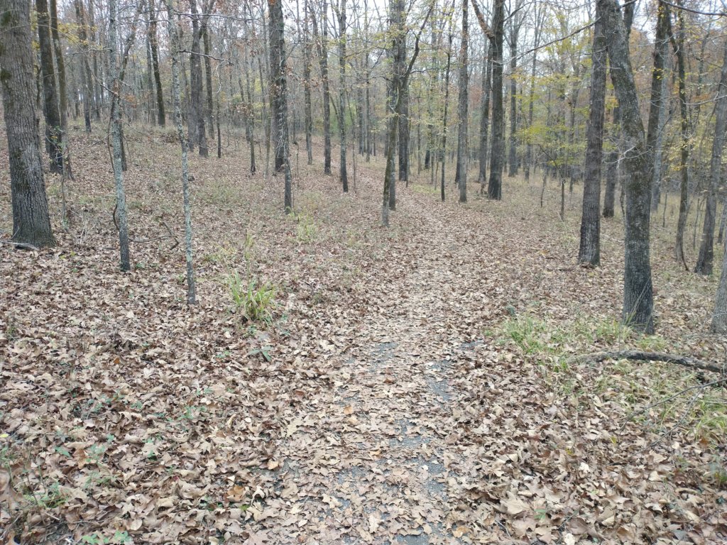 img_20201107_123321998.jpg
