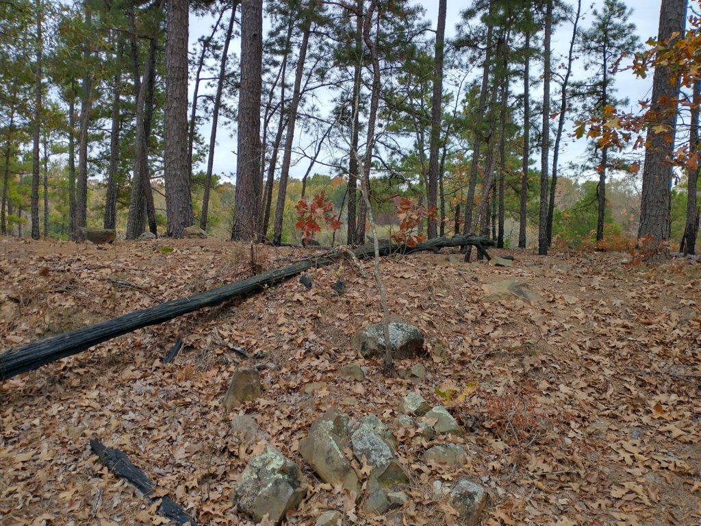 img_20201107_123856476_hdr.jpg