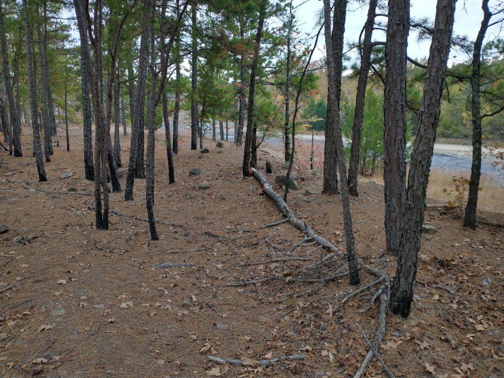 img_20201107_123910835_hdr.jpg