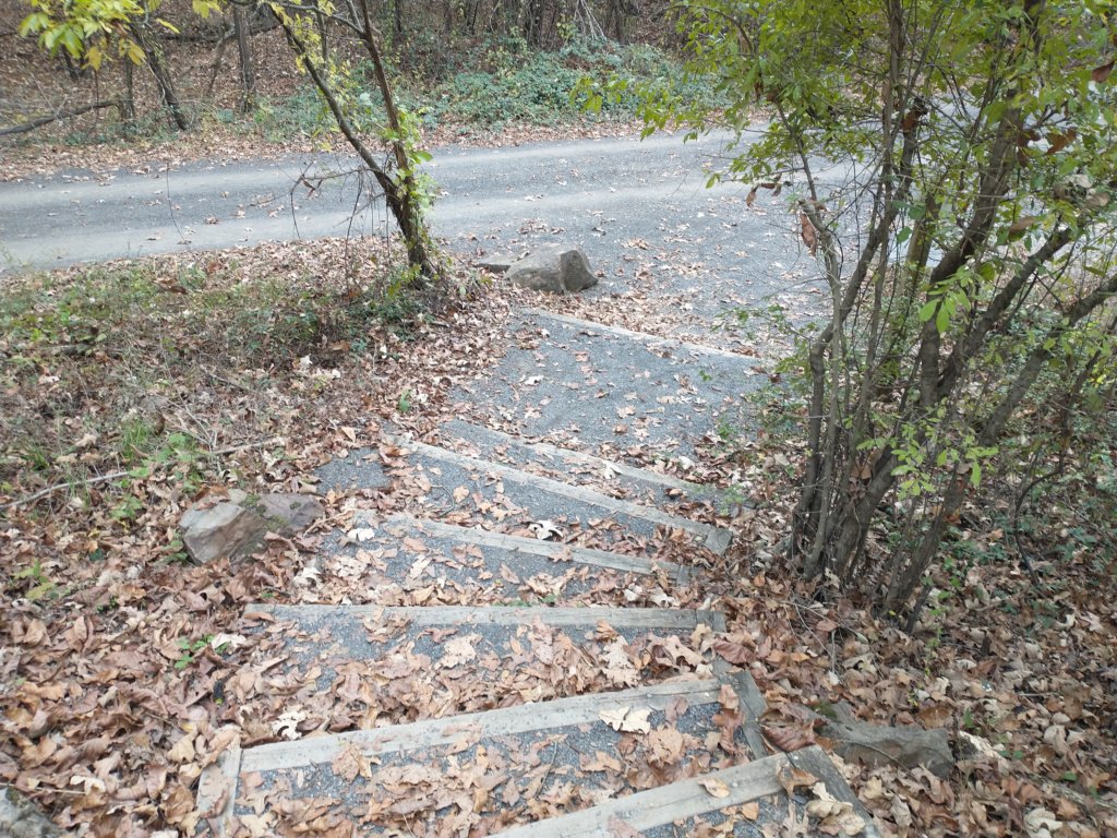 img_20201107_124110751.jpg