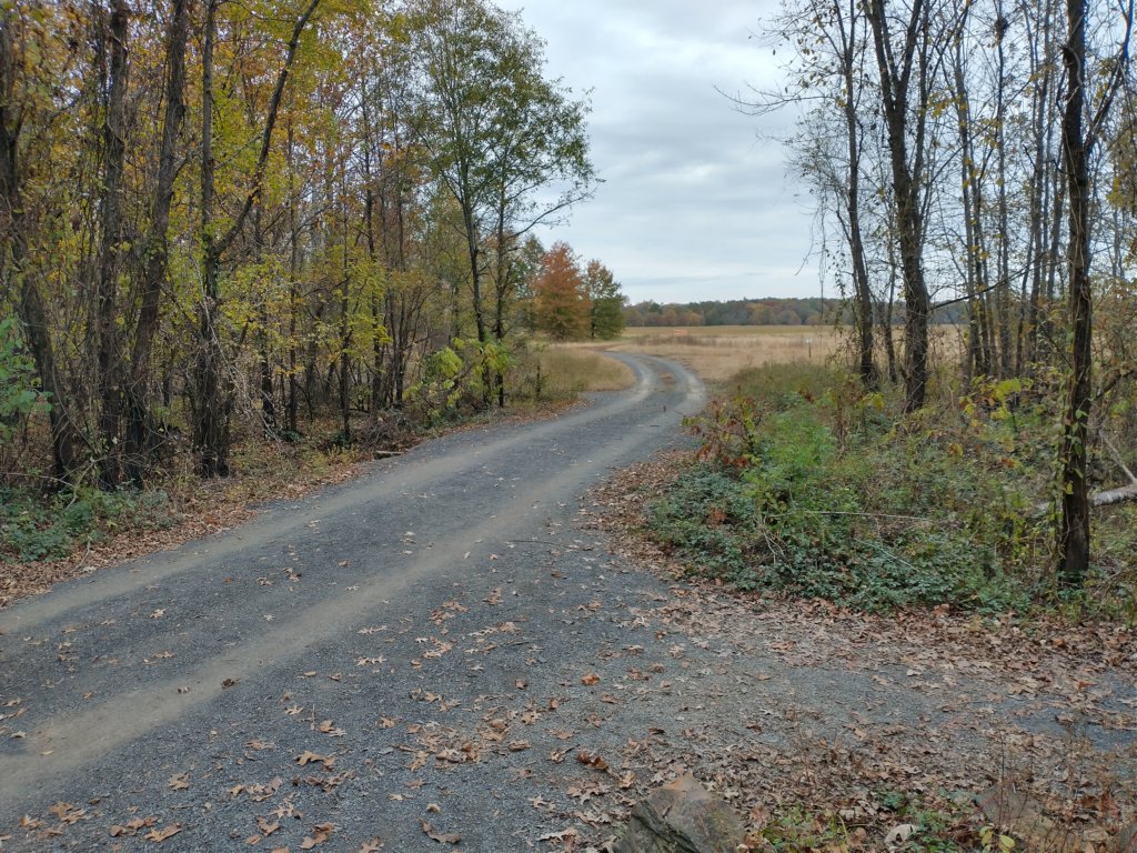 img_20201107_124120016_hdr.jpg