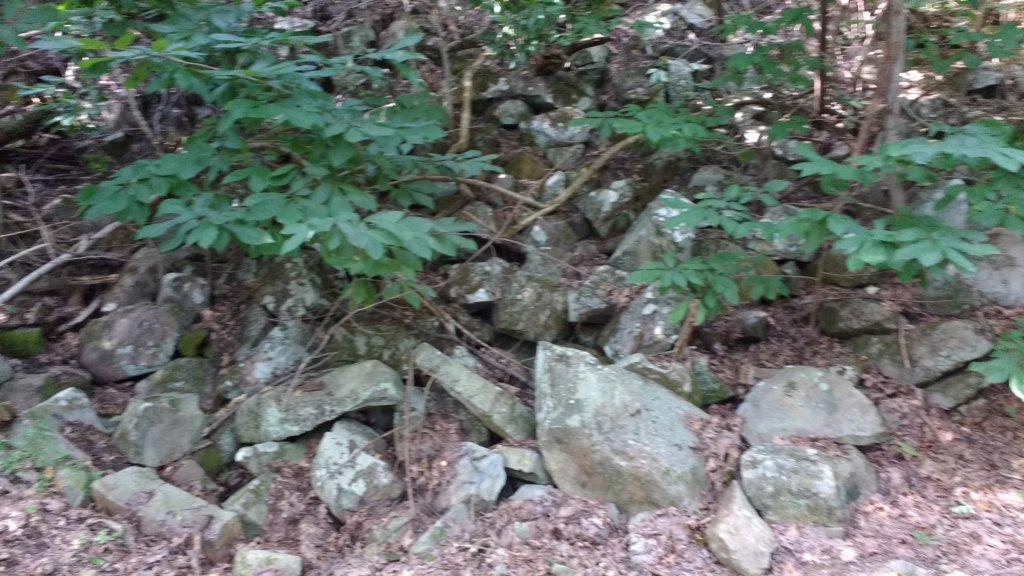 img_20170902_102644345.jpg