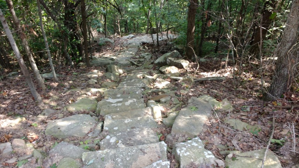 img_20170902_104152965.jpg