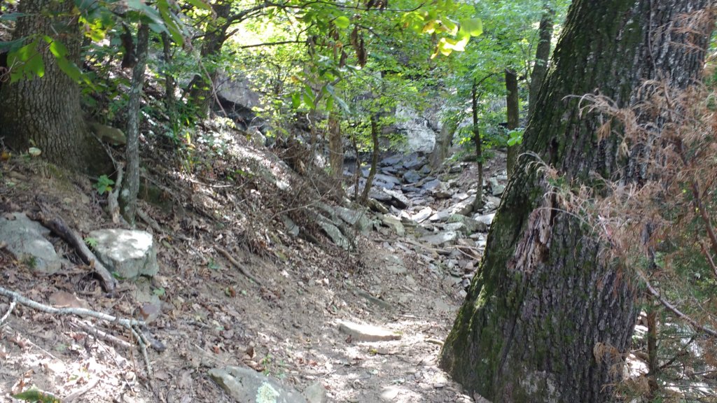img_20170902_121139885.jpg