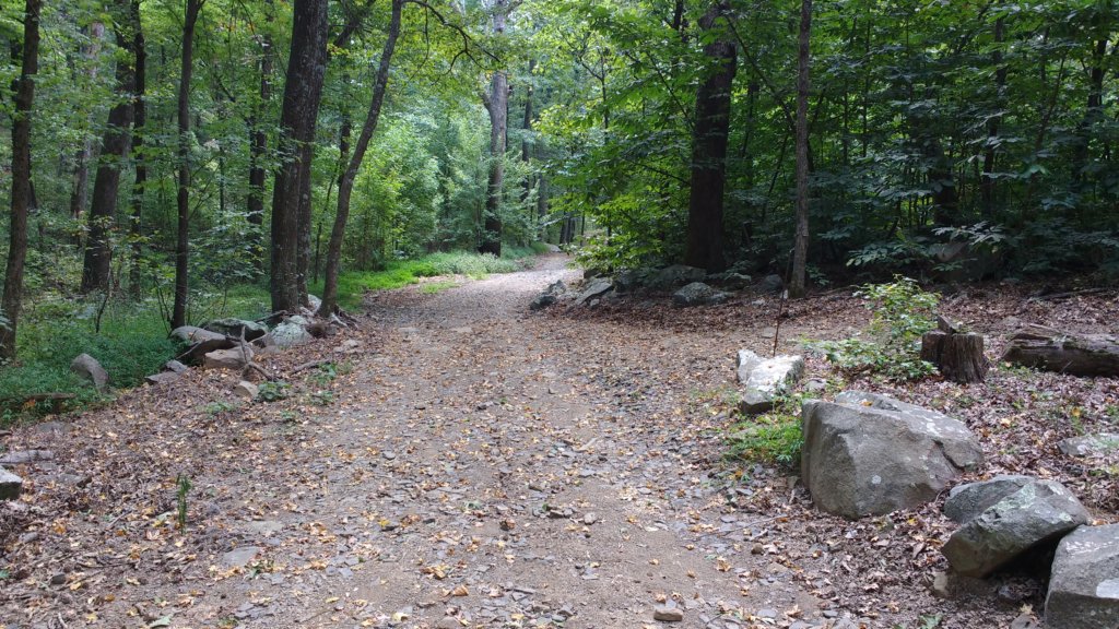 img_20170916_120117176.jpg