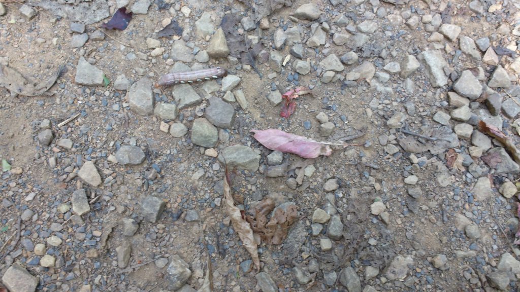 img_20170916_140216625.jpg