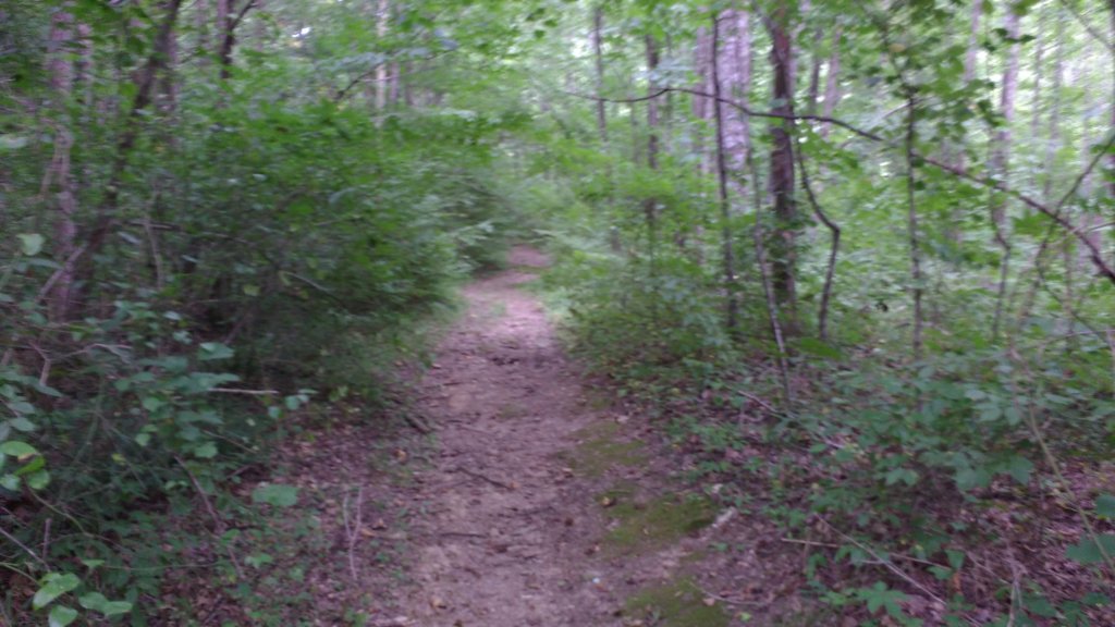 img_20180715_111728053.jpg