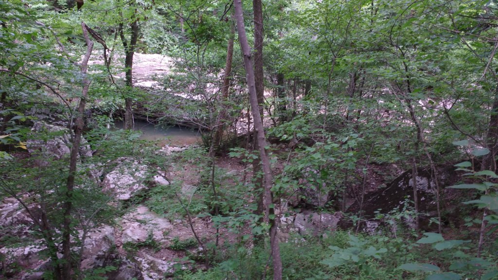 img_20180715_112110450.jpg