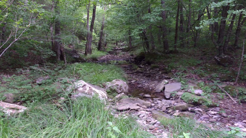 img_20180715_115011521.jpg
