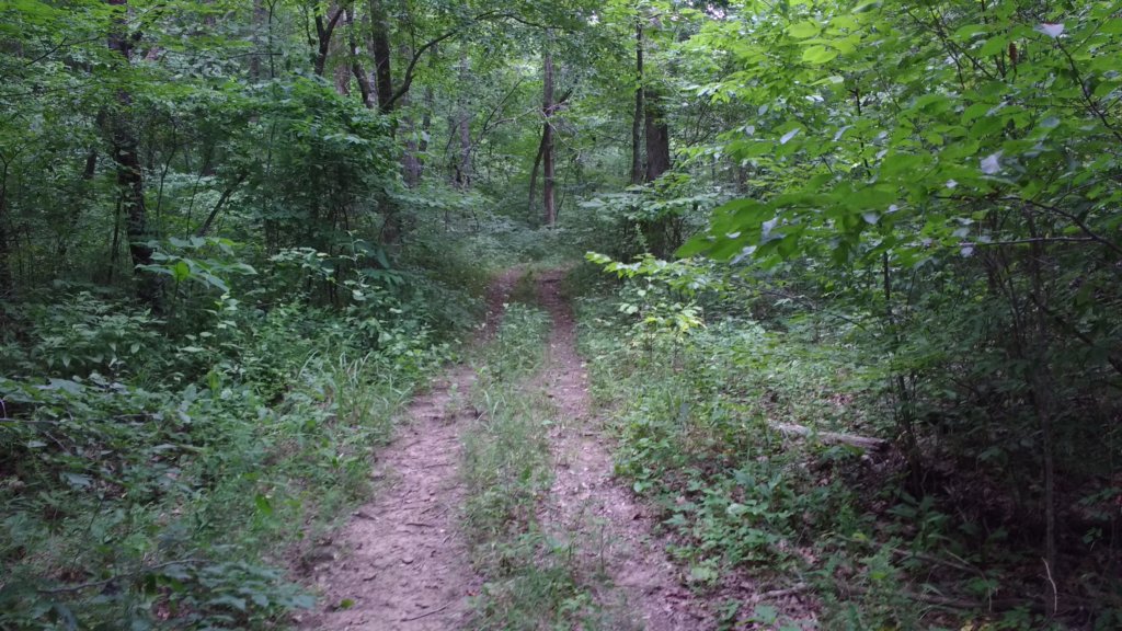 img_20180715_115456530.jpg